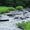 Mulberry Creek Shoals #1