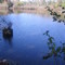 Alapaha Farm Pond