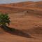 Little Saraha State Park, Waynoka, OK