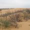 Little Sahara