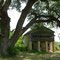 2010_06-09_Waynoka Oklahoma_P1120367