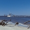 Shrimper besieged by gulls off Jekyll Island, GA