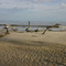 Clam Creek Driftwood Beach Jekyll Island, GA