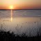 Sandpiper Sunset