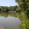 turtles sunning on a rock in the pond, Dillon Nature Center, Hutchinson, KS