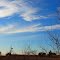 Country Clouds--West of Rantoul, KS