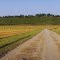 Wadsworth Mound--Greeley, KS