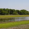 Henderson sloughs