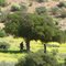 Scenery on the way from Sidi Ifni to Abaynou & Gulmime