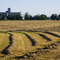 Grain Elevator