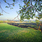 Saline County Morning