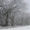 Winter Glen