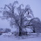 Ice Storm - 1/27/09 - 1/29/09