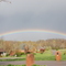Kentucky Rainbow