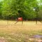 Gunning Cemetery