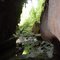 Candelaria caves, Alta Verapaz, Guatemala