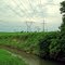 Peotone Power Lines