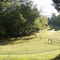 Peaceful Pasture