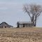 Two old barns