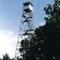 Timbered Knob Lookout