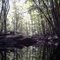 Harriman State Park