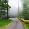 Beaver Pond Campground