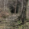 Crawford Spring