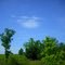 Sunny Day on Rose Lane, Spring 2009