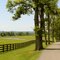 Quirk's Run Perryville, KY