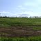 Farms of Shaker Village