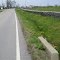 Looking N - Apr 2011