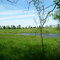 Rural Kentucky Pond