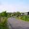 Rose Lane, outside Harrodsburg, Summer 2007