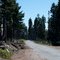 South Fork Mountain Ridge Road - National Forest Road 1 - DSC_3569