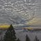 Early Morning Clouds