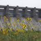 Harlan County Dam