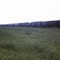 Grain + Train