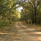 Arkabutla, MS,  End of Road