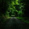 Mississippi Back Road