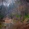 Hidden - Small Stream