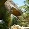 Sky High Bridge, Red River Gorge