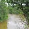 Muddy Creek
