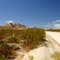 Desert Road