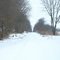 Snow Covered Tracks