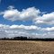 Indiana Farm in the Spring