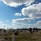Hobbs Cemetary