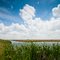 lacassine national wildlife refuge, lake arthur louisiana