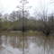 Wallace Lake Entrance