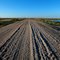LA-3147 Before Paving, 2006, Freshwater City, LA