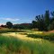 Beautiful Seasonal Pond
